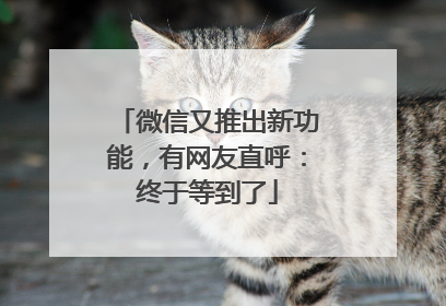 微信又推出新功能，有网友直呼：终于等到了